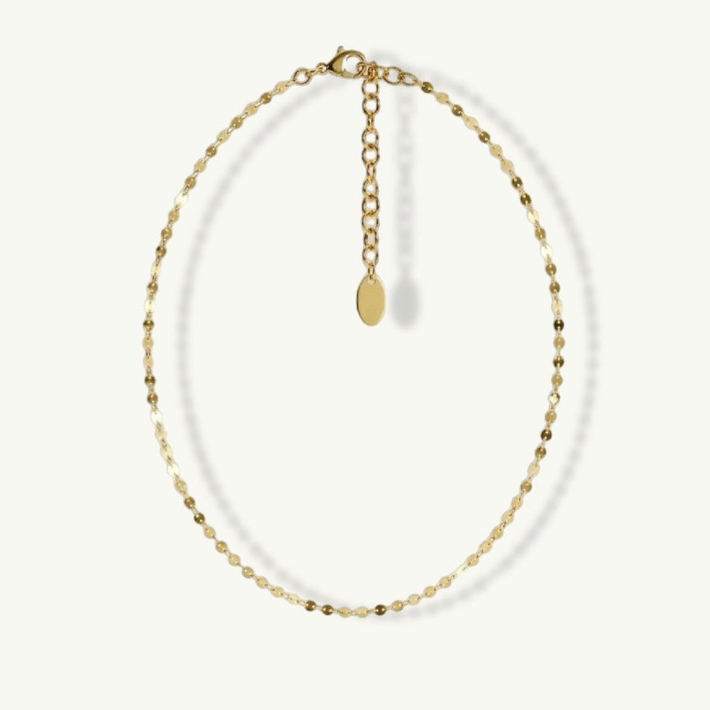 Dainty Chain Anklet