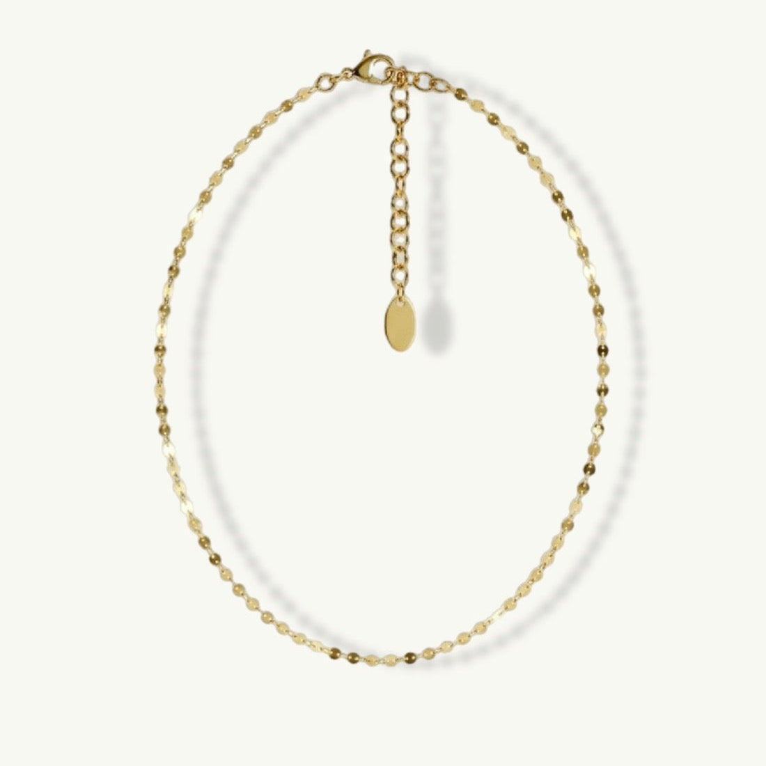 Dainty Chain Anklet
